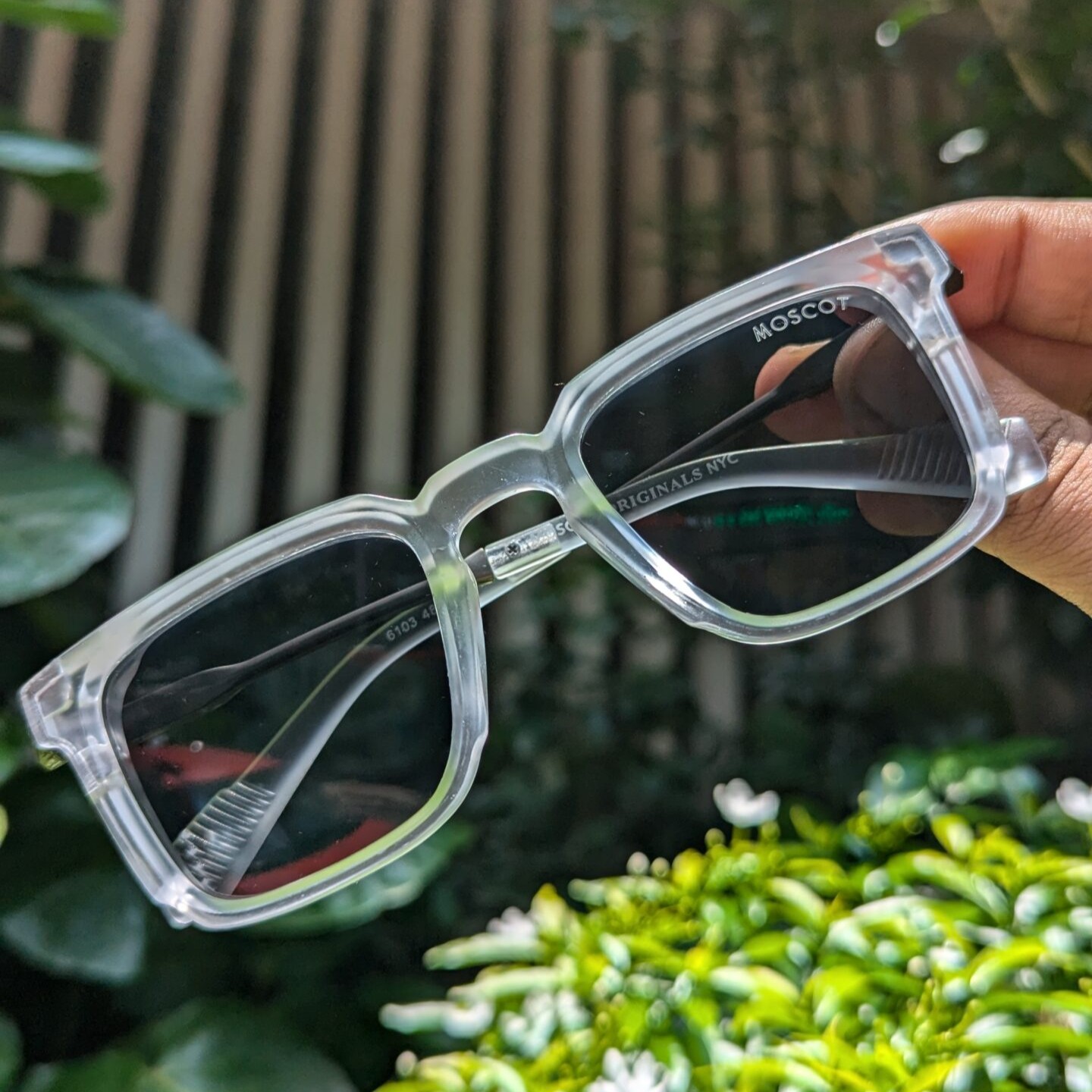 MOSCOT Premium Square Sunglasses